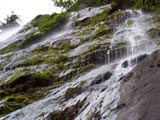 [Olympic Peninsula Waterfall]