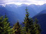 [Olympic Peninsula View from Mt. Walker]