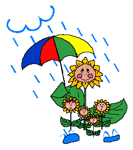 [Little Sunflower Family in the Rain]